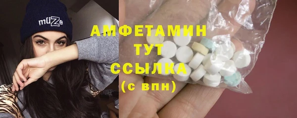 прущие грибы Белокуриха