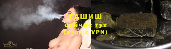 прущие грибы Белокуриха