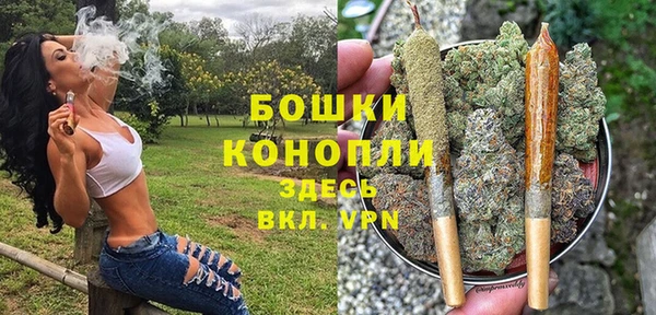 прущие грибы Белокуриха