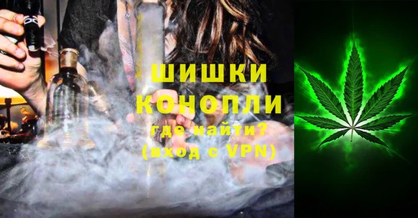 прущие грибы Белокуриха