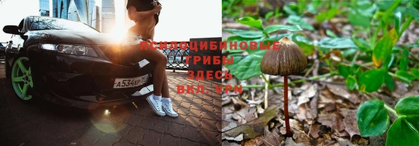 каннабис Белоозёрский