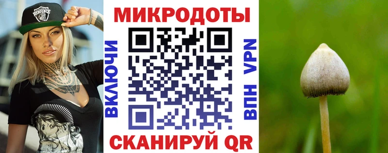 Псилоцибиновые грибы Psilocybe  Буинск 